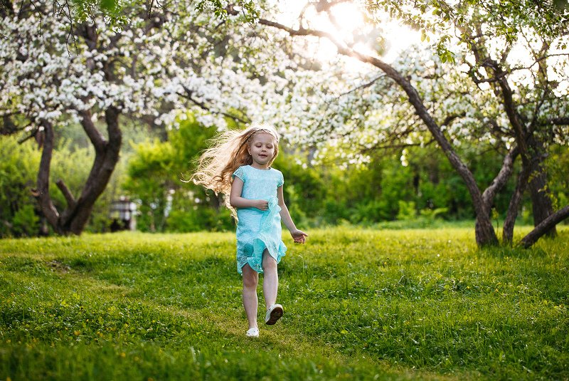 девочка, ребенок, лес, природа, яблони, радость photo preview