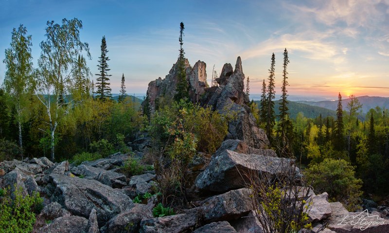 столбы На рассвете в лесуphoto preview