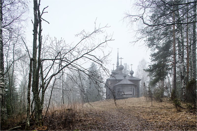 весна, май, лес, гора, хижгора, деревянный храм, кенозёрский парк, Утро с лёгким туманом.photo preview