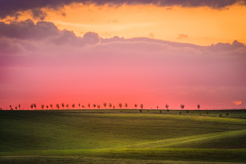 moravian, south moravia, sunset, hills, fields Моравские закатыphoto preview