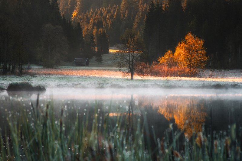 landscape,lake,bavaria,morning,sunrise,germany,nature Geroldseephoto preview