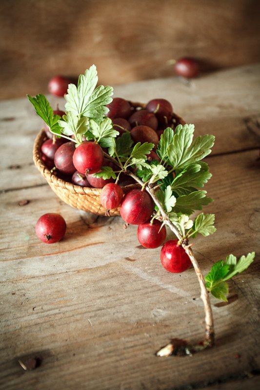 натюрморт, крыжовник, дерево, веточка с ягодамиphoto preview