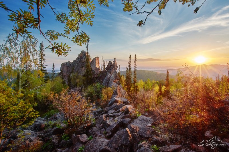 столбы, рассвет Первые листочкиphoto preview