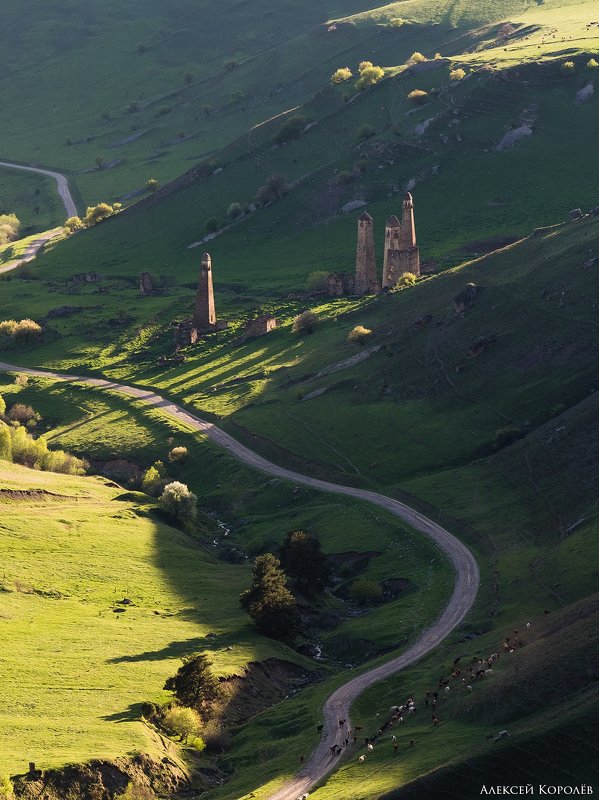 россия, кавказ, ингушетия, горы, природа, пейзаж, архитектура, весна, russia, caucasus, ingushetia, mountains, nature, landscape, architecture, spring Башенный комплекс Ний 1photo preview