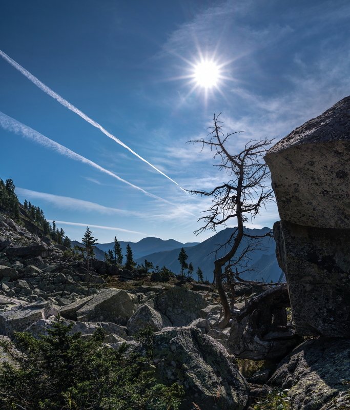 горы, россия, сибирь, саяны, западный саян, ергаки, путешествие, поход, приключения, ник васильев, утро, дерево, кедр, камень Подсолнечный пейзаж.photo preview