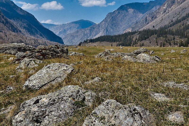 алтай, ледник актру, актру, алтайский край, долина, весна,осень, лиственницы, ледник,ледники Долина ползущих камней!!!photo preview
