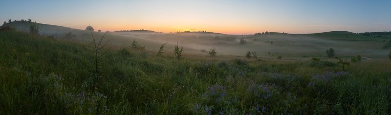 пейзаж, утро, туман, рассвет, июнь, лето, лесостепь, холмы утро туманное, утро седое фото превью