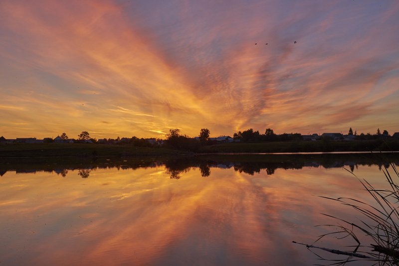 *** фото превью