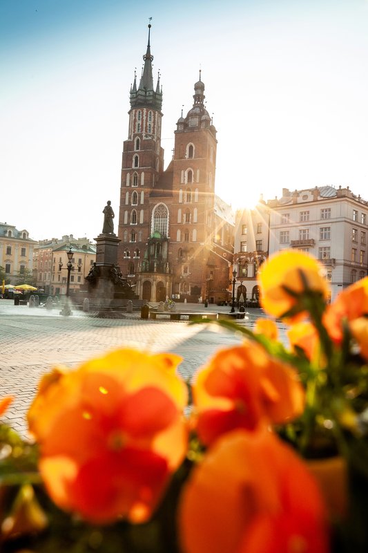 Краковphoto preview