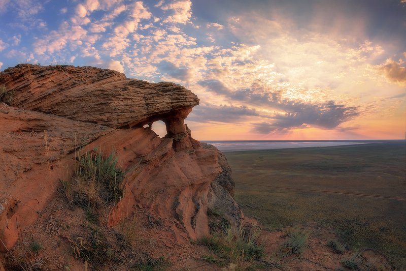 богдо Строгий взорphoto preview