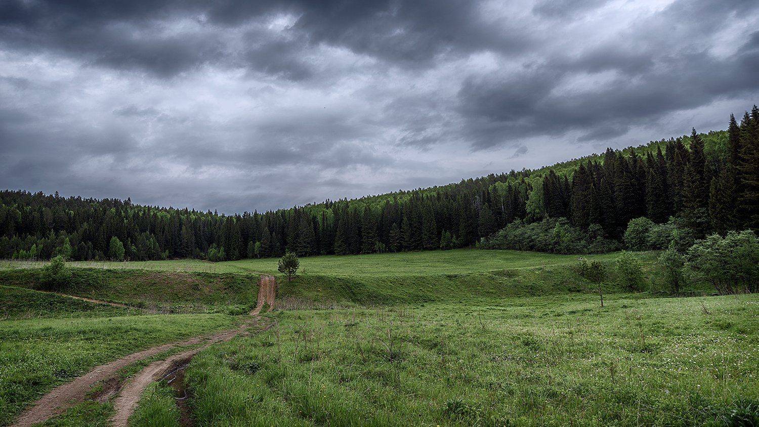 , Сергей Скоробогатов