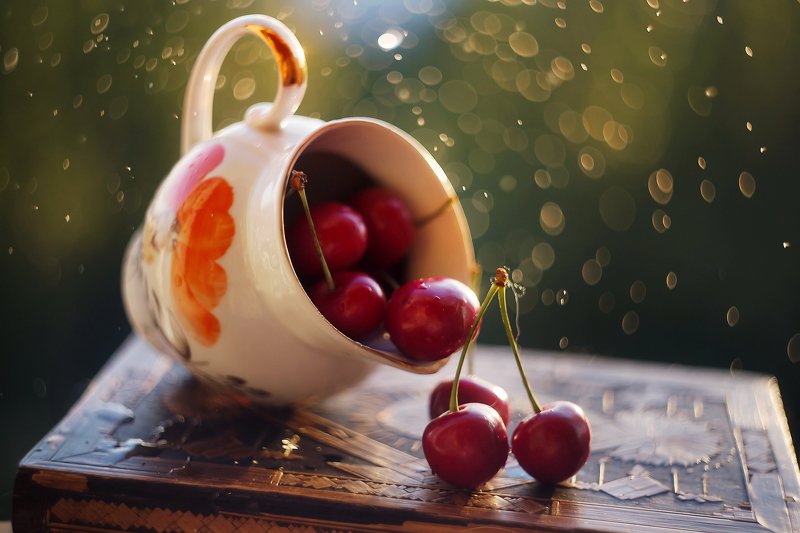 macro bokeh  ***photo preview