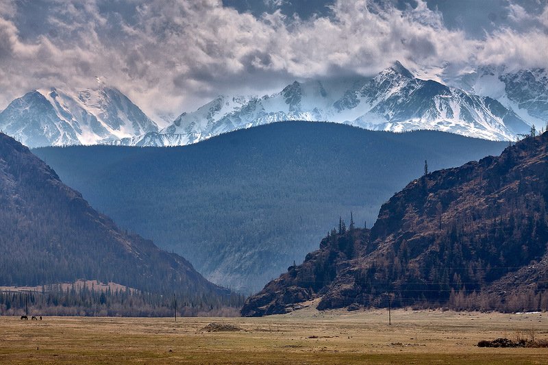 алтай, ледник актру, актру, алтайский край, долина, весна,осень, лиственницы, ледник,ледники Алтай,как есть...photo preview