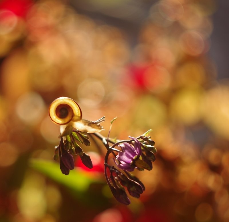 ... wędrówki Anatolaphoto preview