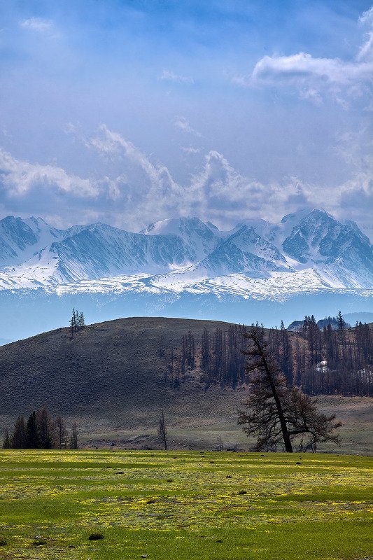алтай, ледник актру, актру, алтайский край, долина, весна,осень, лиственницы, ледник,ледники Слоёный Алтай..photo preview