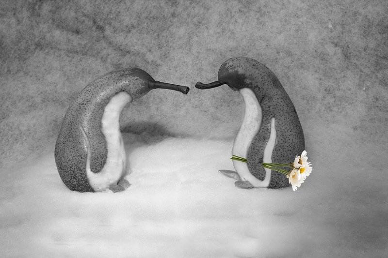 Из жизни пингвогрушphoto preview