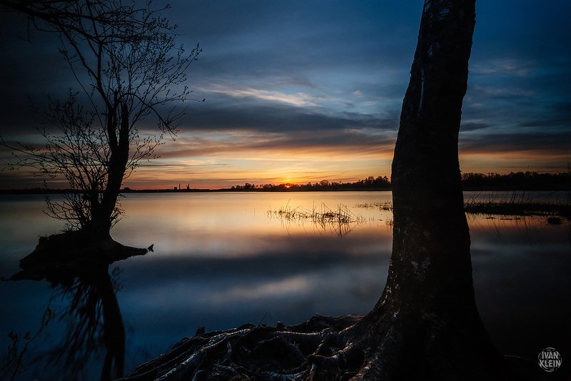 закат, небо, солнце, свет, золотой час, озеро, россия, питер, санктпетербург, петербург, лахта, дерево, деревья Деревья на закатеphoto preview