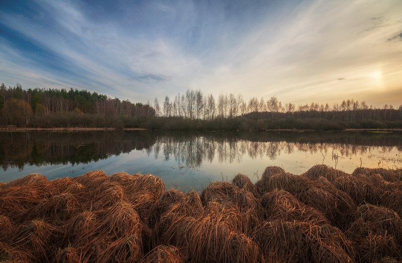 Весенняя симметрияphoto preview