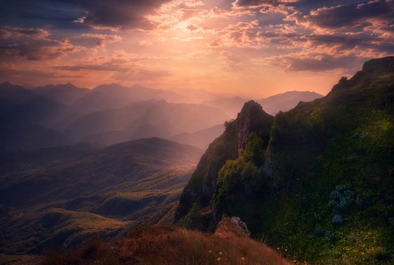 Утренняя мелодияphoto preview