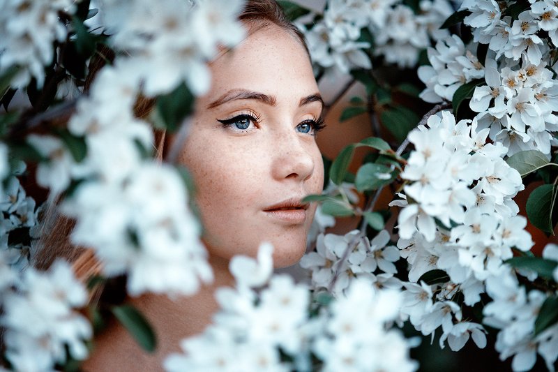 Викаphoto preview