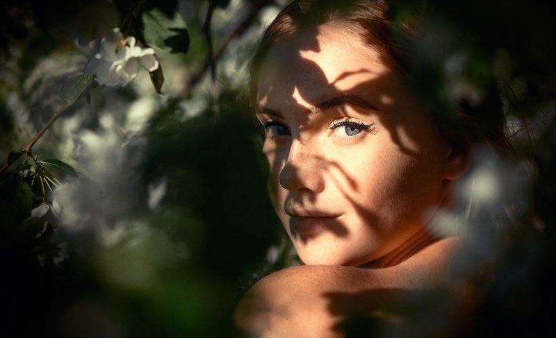 Викаphoto preview