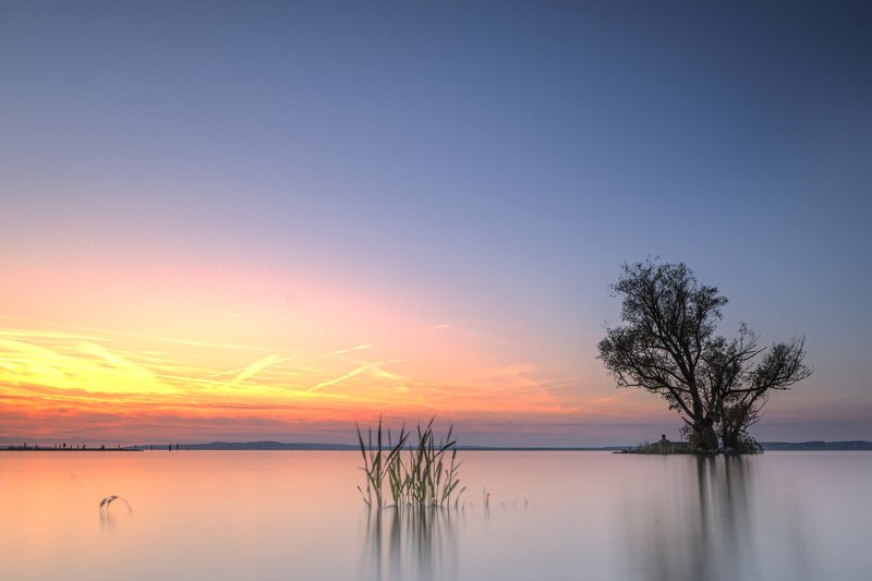tree,lake,boden lake,long exposure,sunset,minimalistic, silent in the artphoto preview