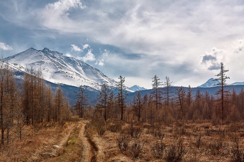 алтай, ледник актру, актру, алтайский край, долина, весна,осень, лиственницы, ледник,ледники Дорога на ледник.photo preview