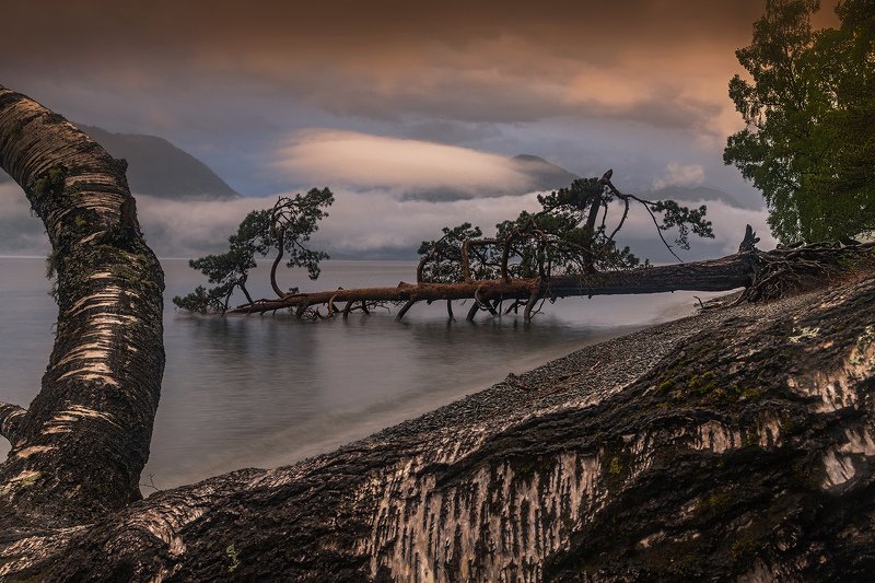 алтай, сибирь, телецкое озеро, Fallenphoto preview