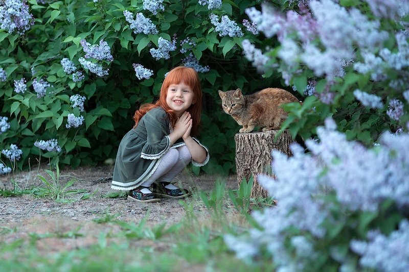 девочка,  детская и семейная фотосессия, детский и семейный фотограф, радость, восторг, счастье,кот, малышка, девочка, фотосессия, маленькие дети, детское фото, детский фотограф, детский и семейный фотограф, детское фото, детская фотосессия, восторг Кот и рыжикphoto preview