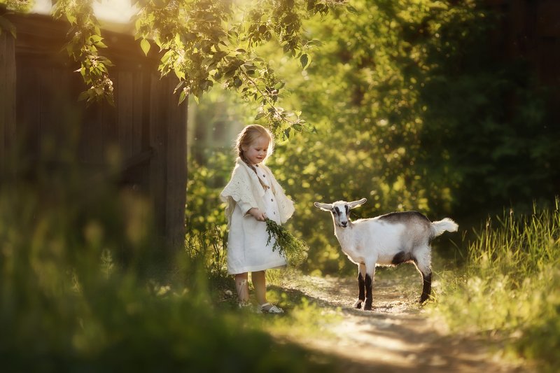 моя Мартаphoto preview