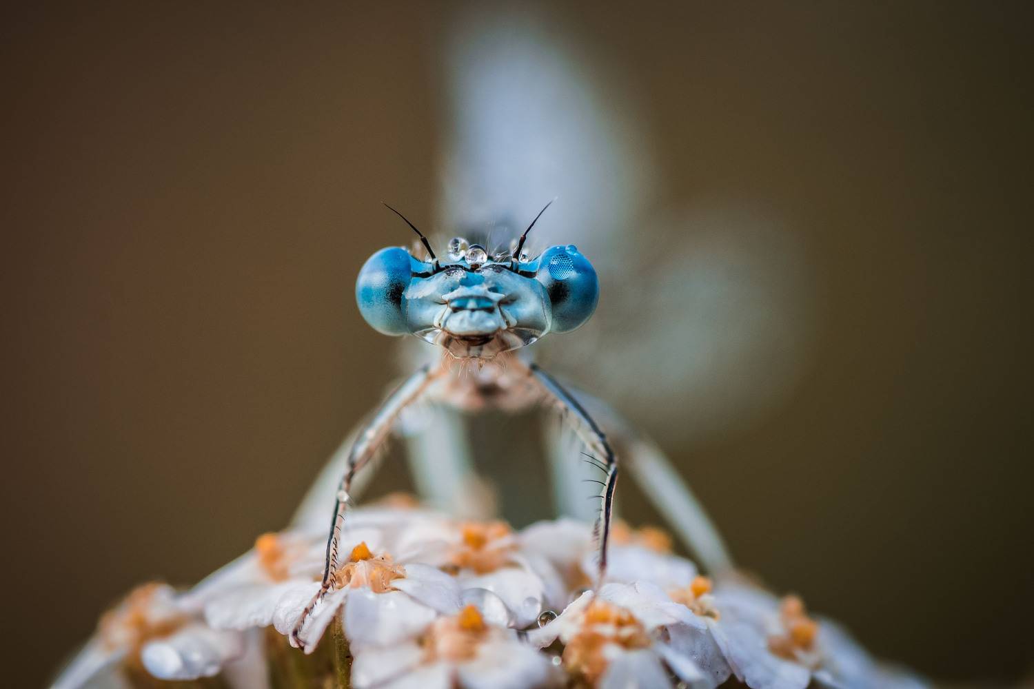 Немного сыро. Автор: Роман Зайцев , Роман Зайцев