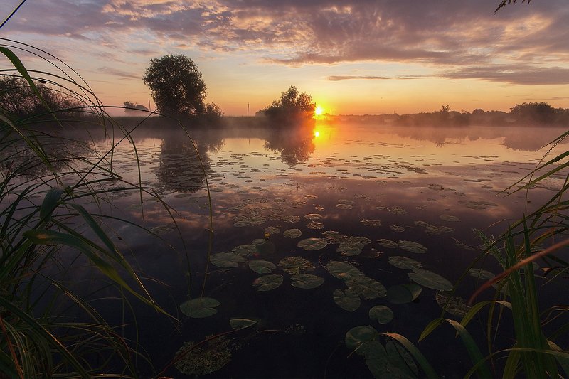 алексей платонов брянск, пейзаж, утро, озеро, туман, оз. пантон В тишине летнего утраphoto preview