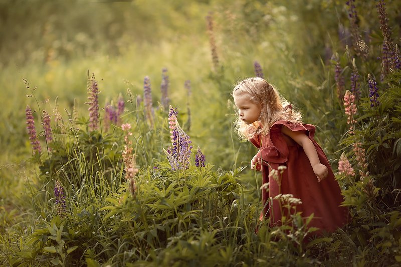 люпины девочка ***photo preview