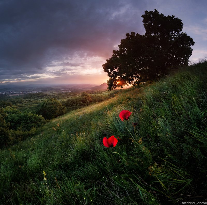 маки, бештау, закат, горы Двое на закатеphoto preview