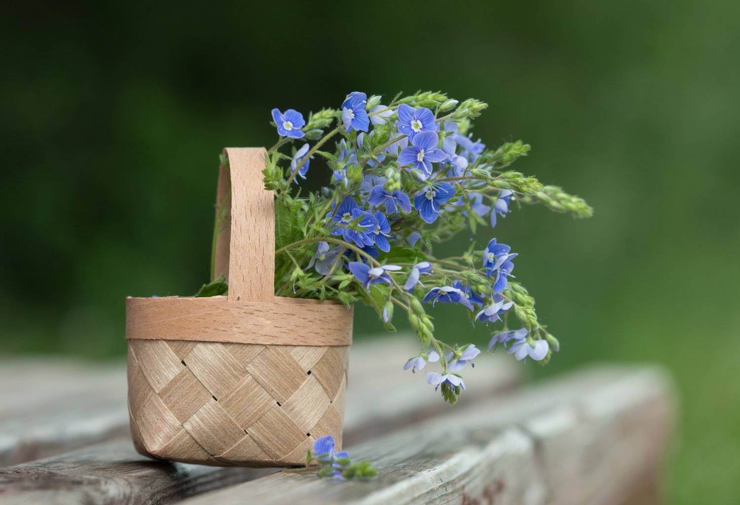 , Татьяна Пименкова