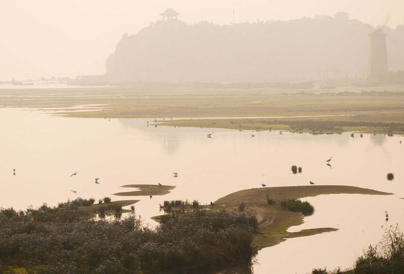 природа китая,цапли, болото, бэйдахэ китай Цаплецарствоphoto preview