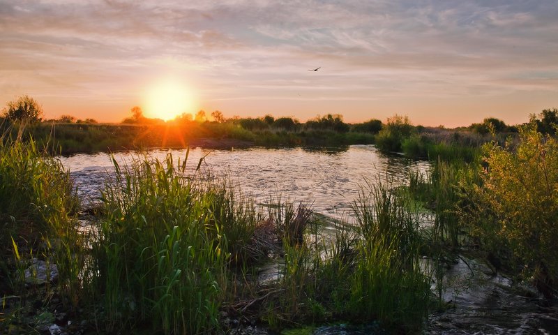 закат, степь, озеро, камыш * * * фото превью