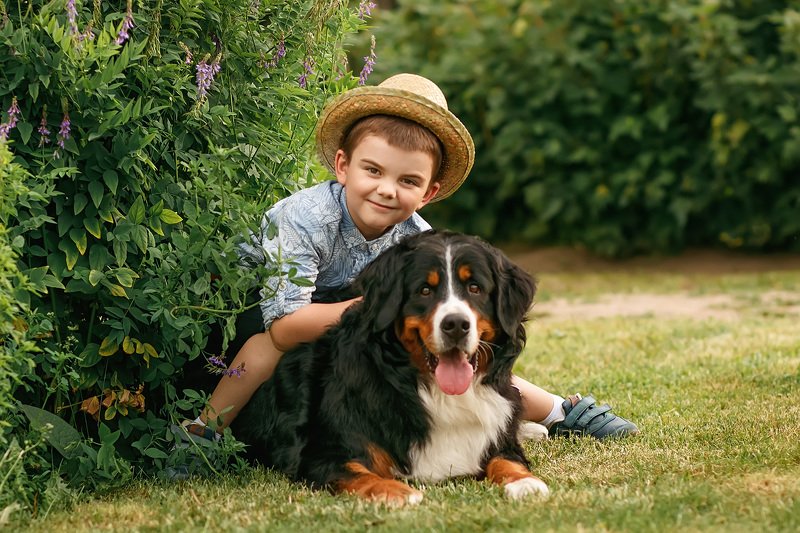 Летомphoto preview