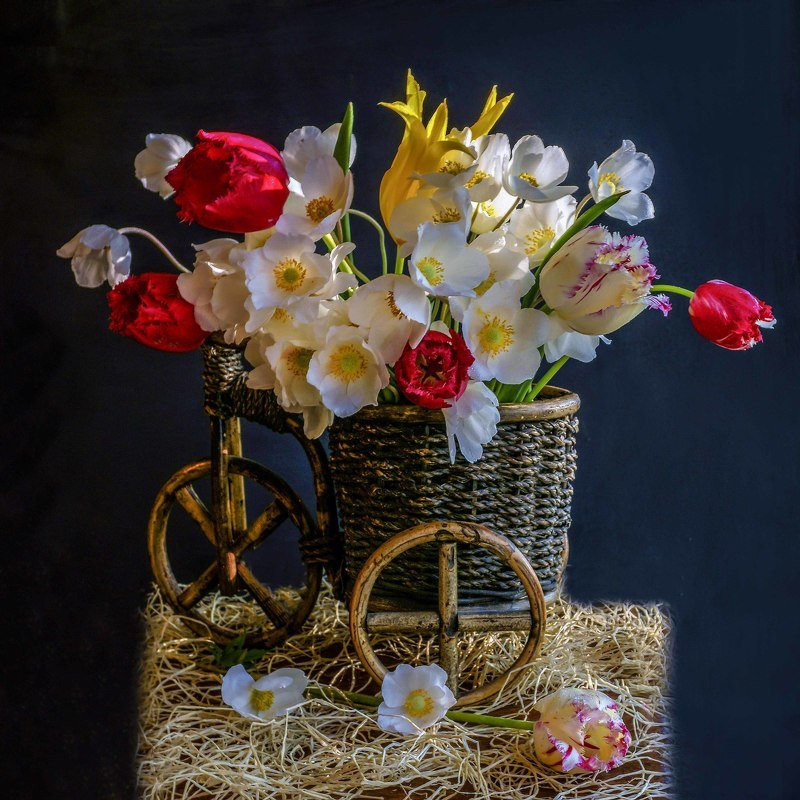 С анемонами.photo preview