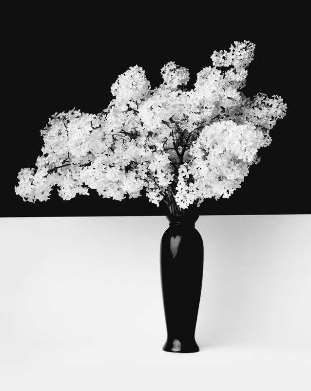 Graphic flowerphoto preview