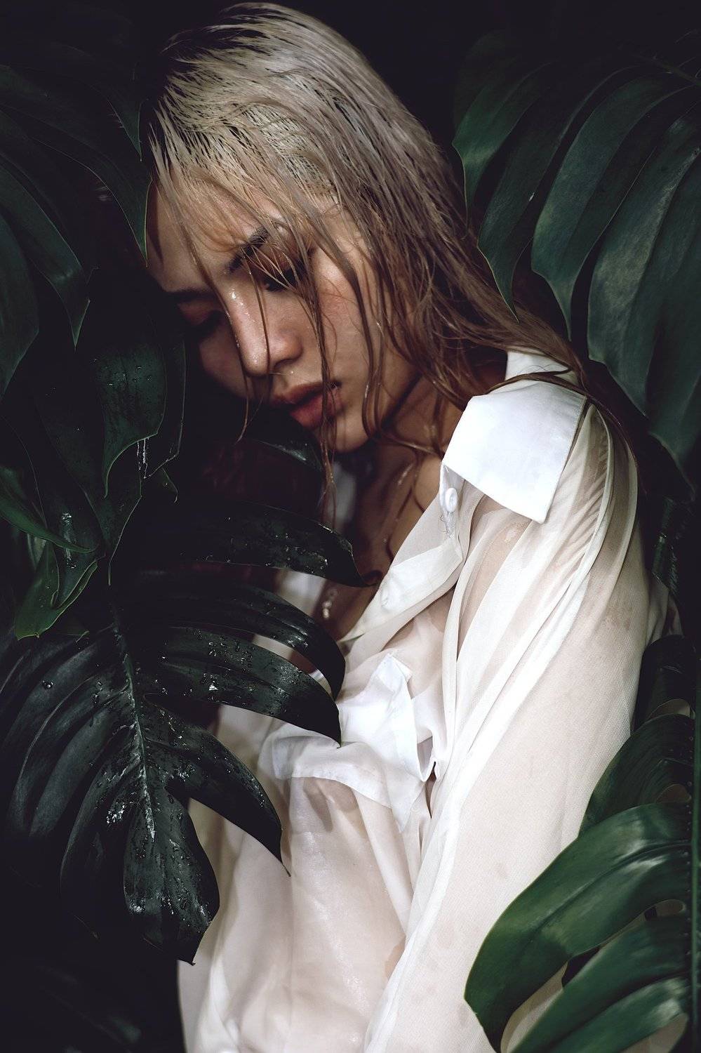 Автор: lee Nguyen , lee Nguyen