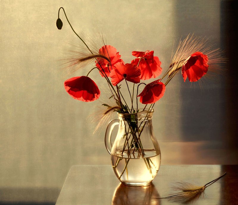 натюрморт, цветы, букет, маки, кувшин Макиphoto preview