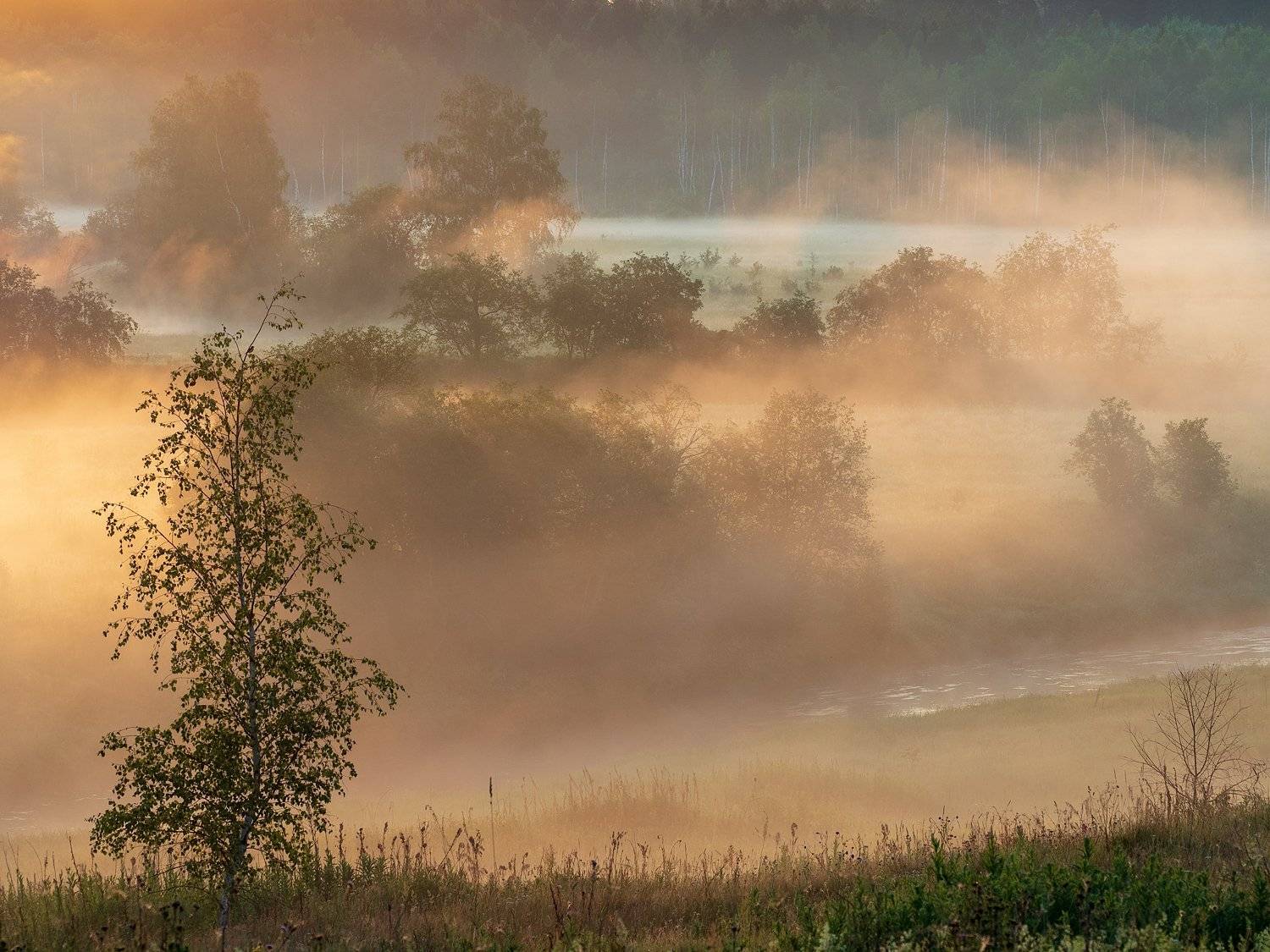 , Марина Брыдня