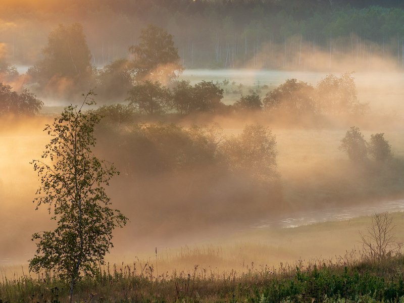 Туманная феерияphoto preview