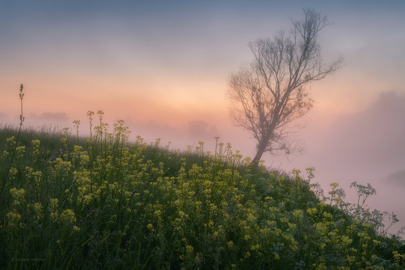 угра,рассвет,утро,пейзаж Туманное утро июня...photo preview