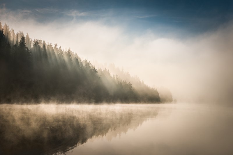 Morning dreamsphoto preview