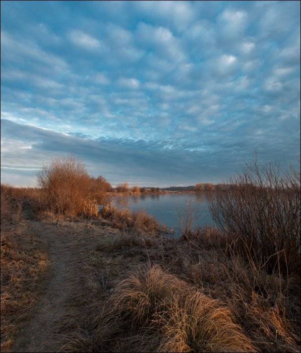.... Автор: Полищук И.В. , Полищук И.В.