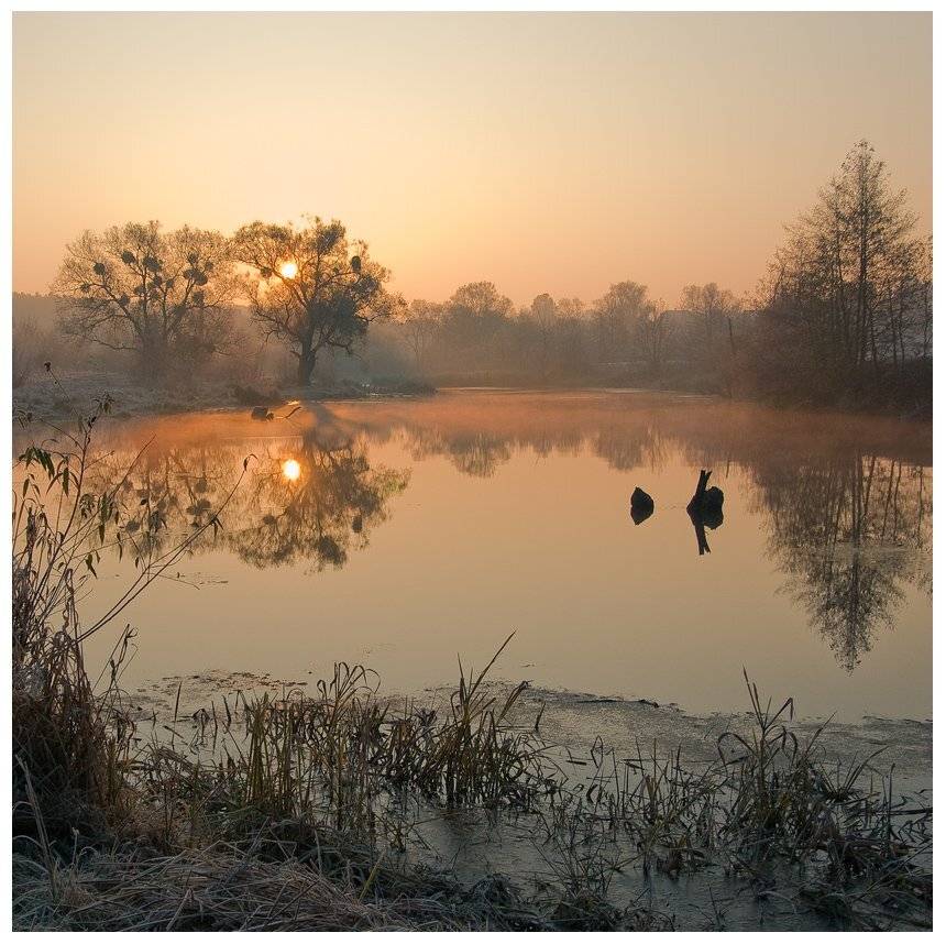 золотое утро.... Автор: Николай Шахманцир , Николай Шахманцир