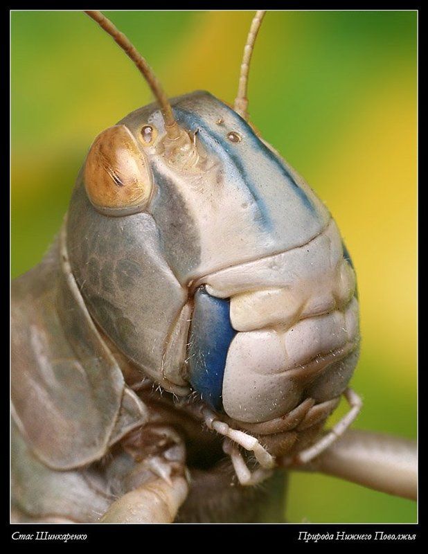 Гроза полейphoto preview