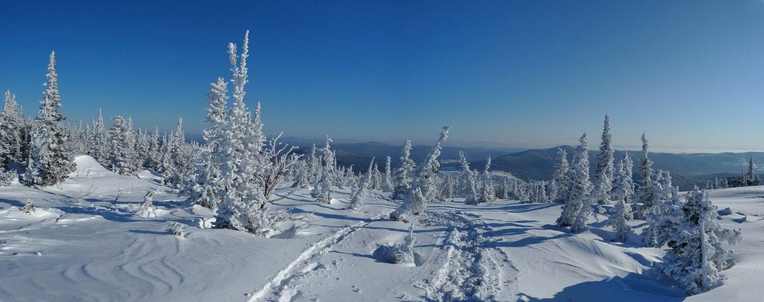 , Сергей Седов